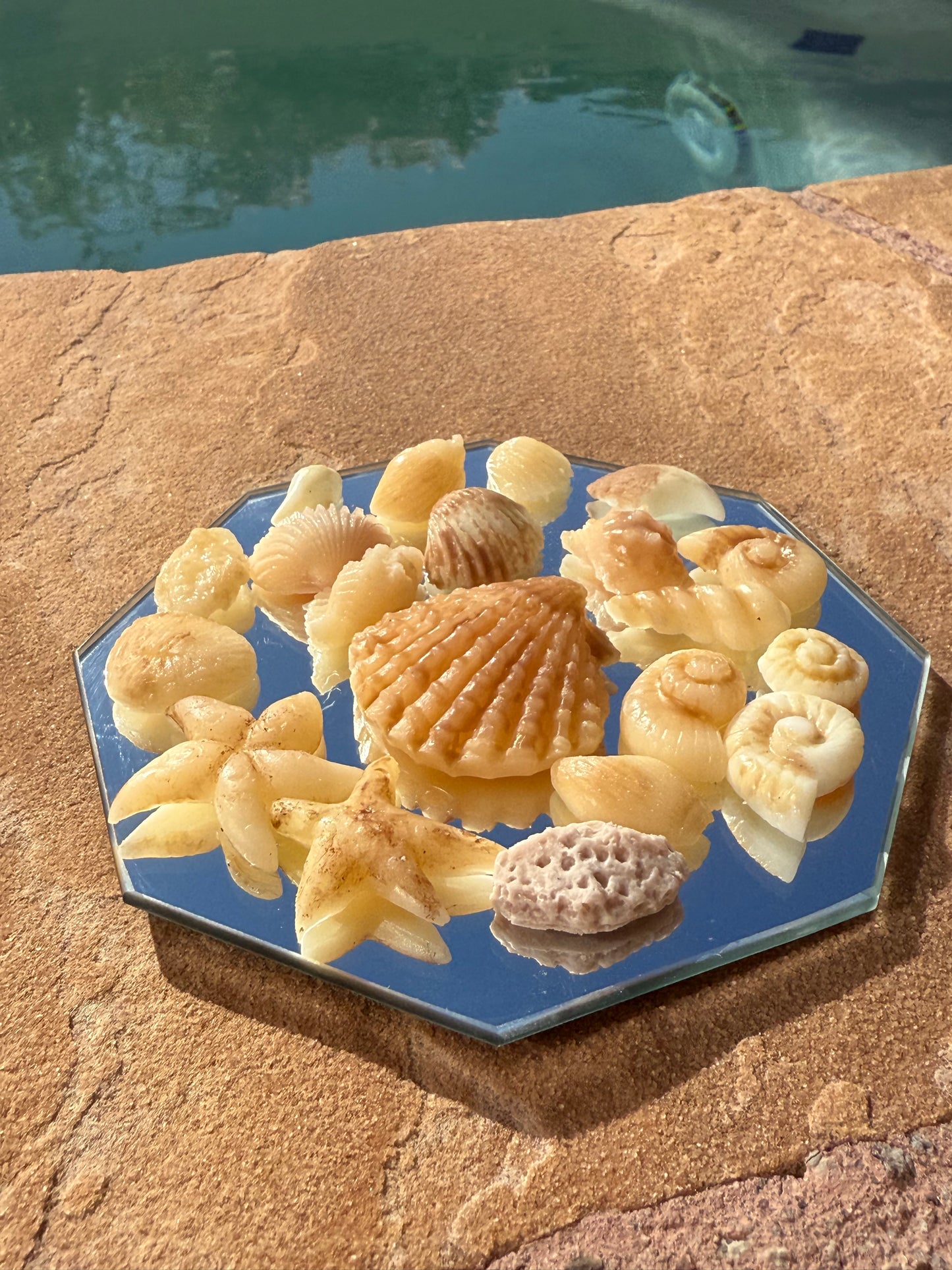 Seashell Wax Melts
