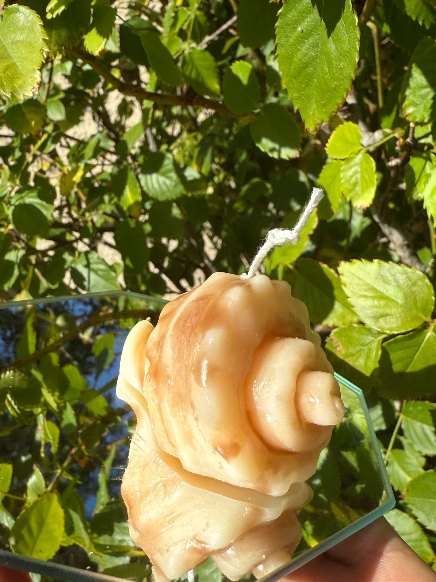 Snail Conch Candle