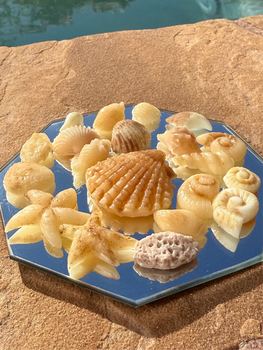 Seashell Wax Melts