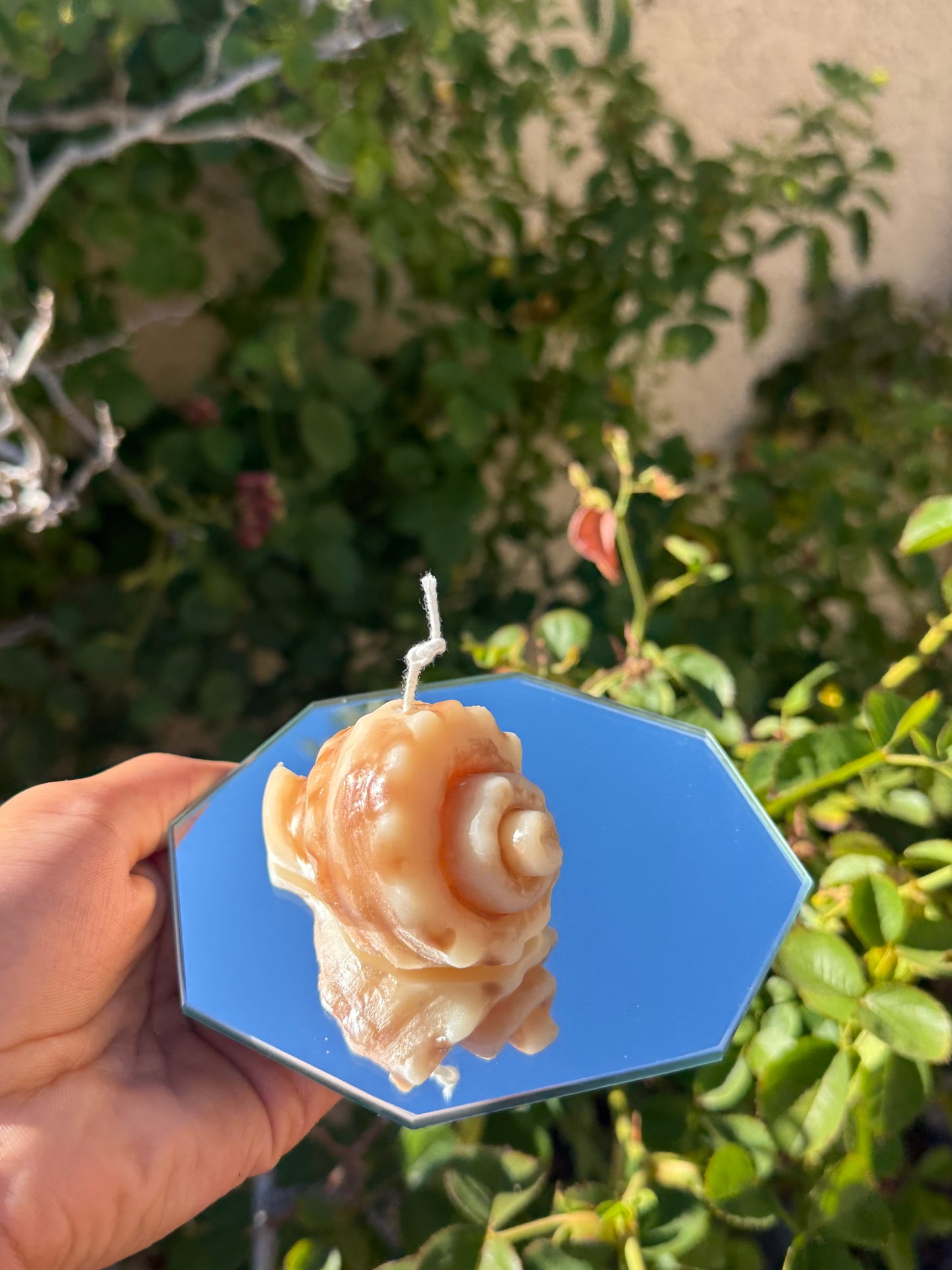 Snail Conch Candle