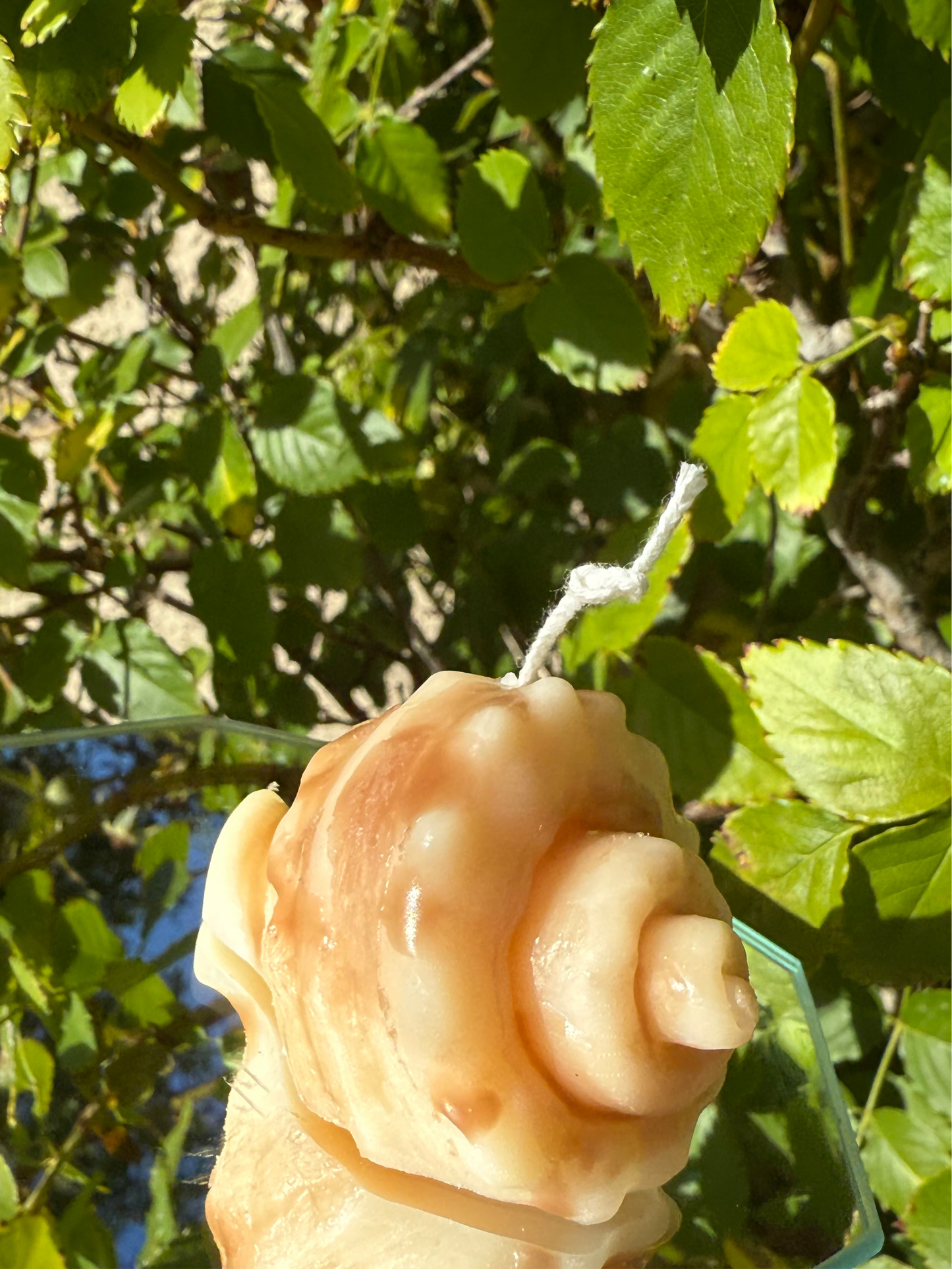 Snail Conch Candle