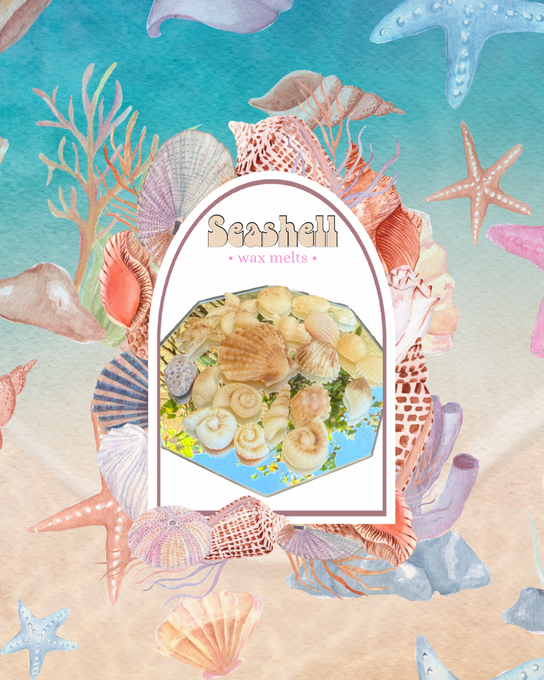 Seashell Wax Melts