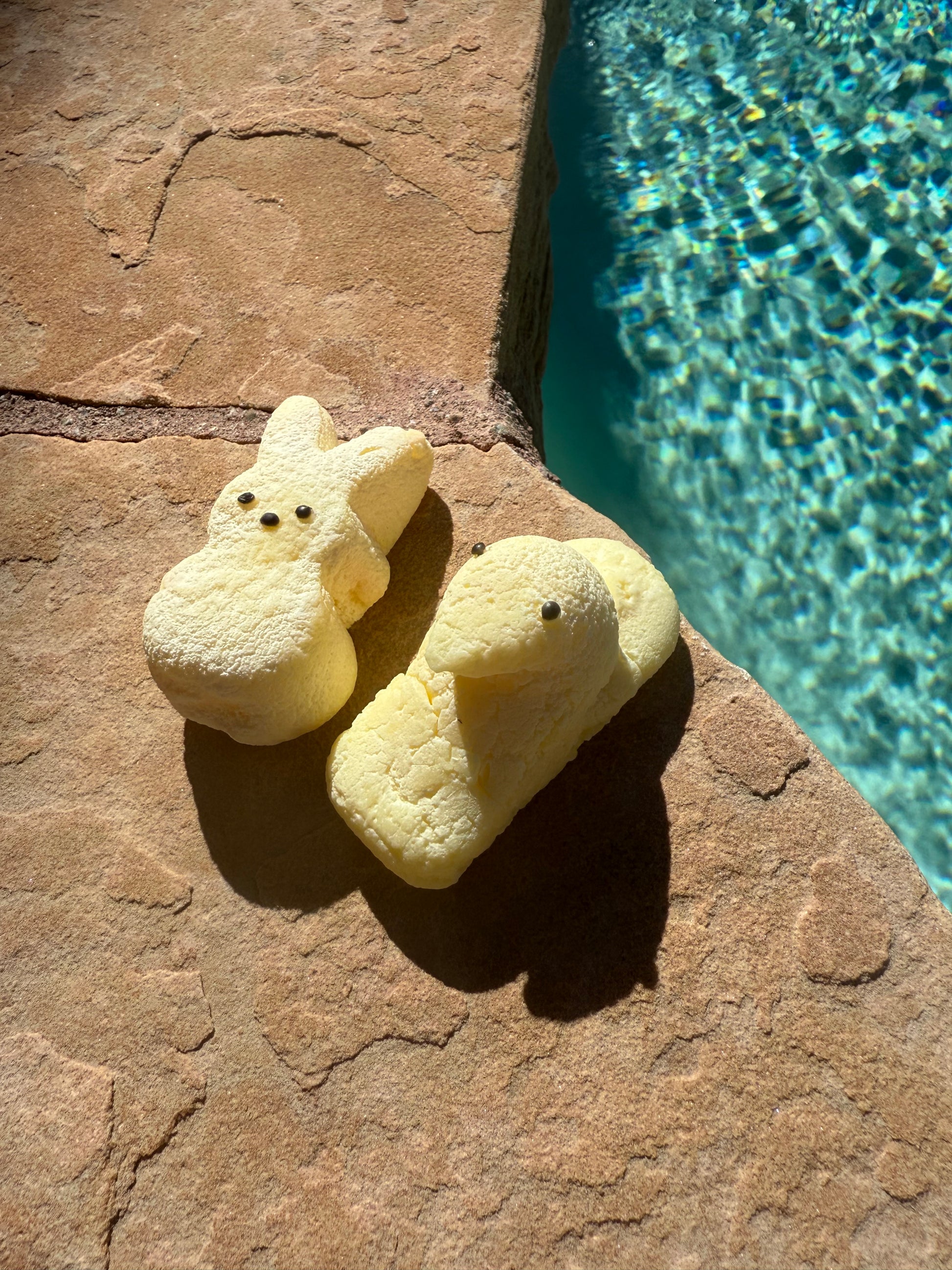 IMG_6151.jpeg__PID:cb43a224-15ee-434e-bfc7-d9c13b017fe3